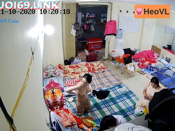 sex viet nam cap nhat moi ngay Quay lén động nhền nhện tinh